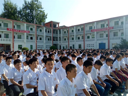 活动 (17)